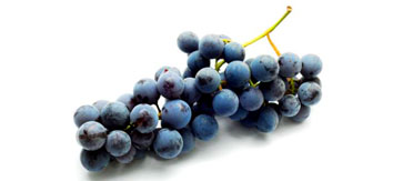 葡萄专用型噻苯隆在花期前使用方法