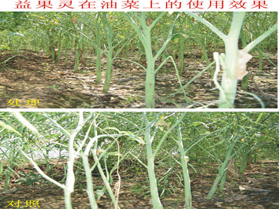 益果灵牌噻苯隆介绍植物助剂的使用要求